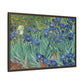 Van Gogh, Vincent - Irises (1889) - Matte Canvas, Framed