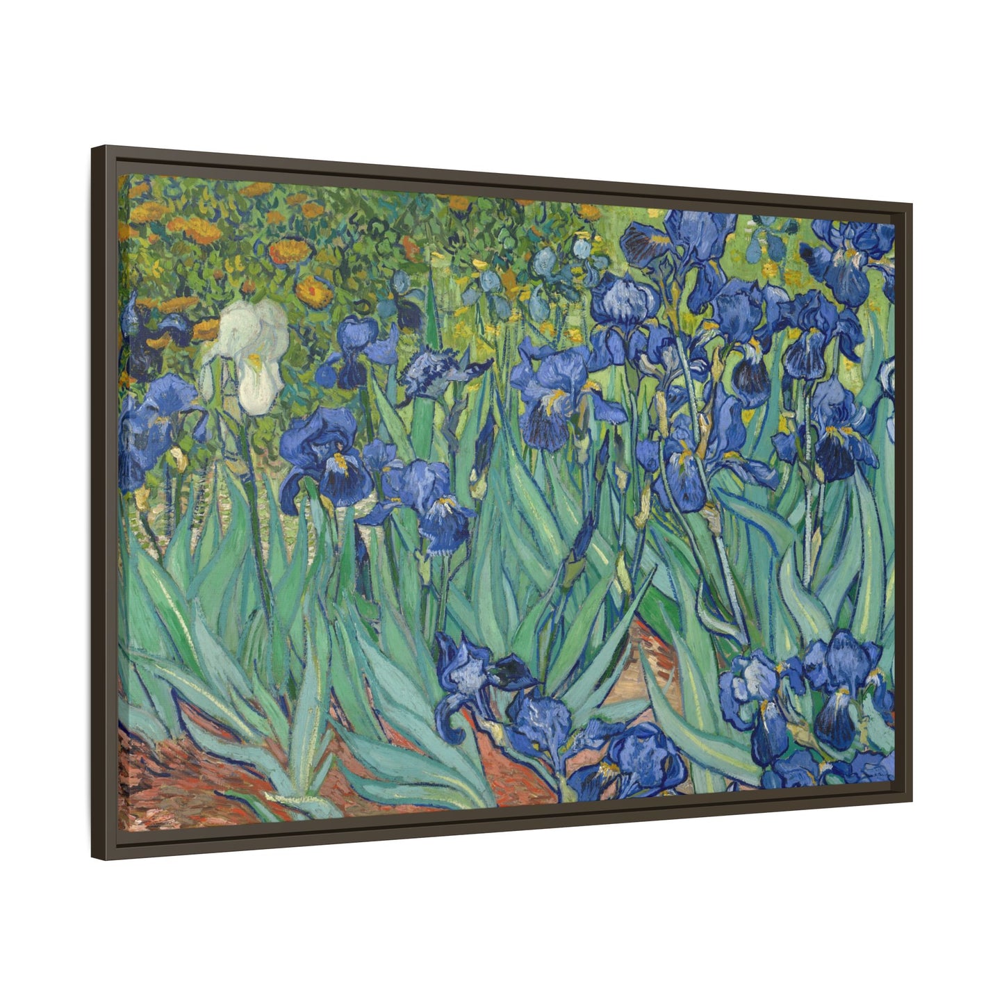 Van Gogh, Vincent - Irises (1889) - Matte Canvas, Framed