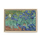 Van Gogh, Vincent - Irises (1889) - Matte Canvas, Framed