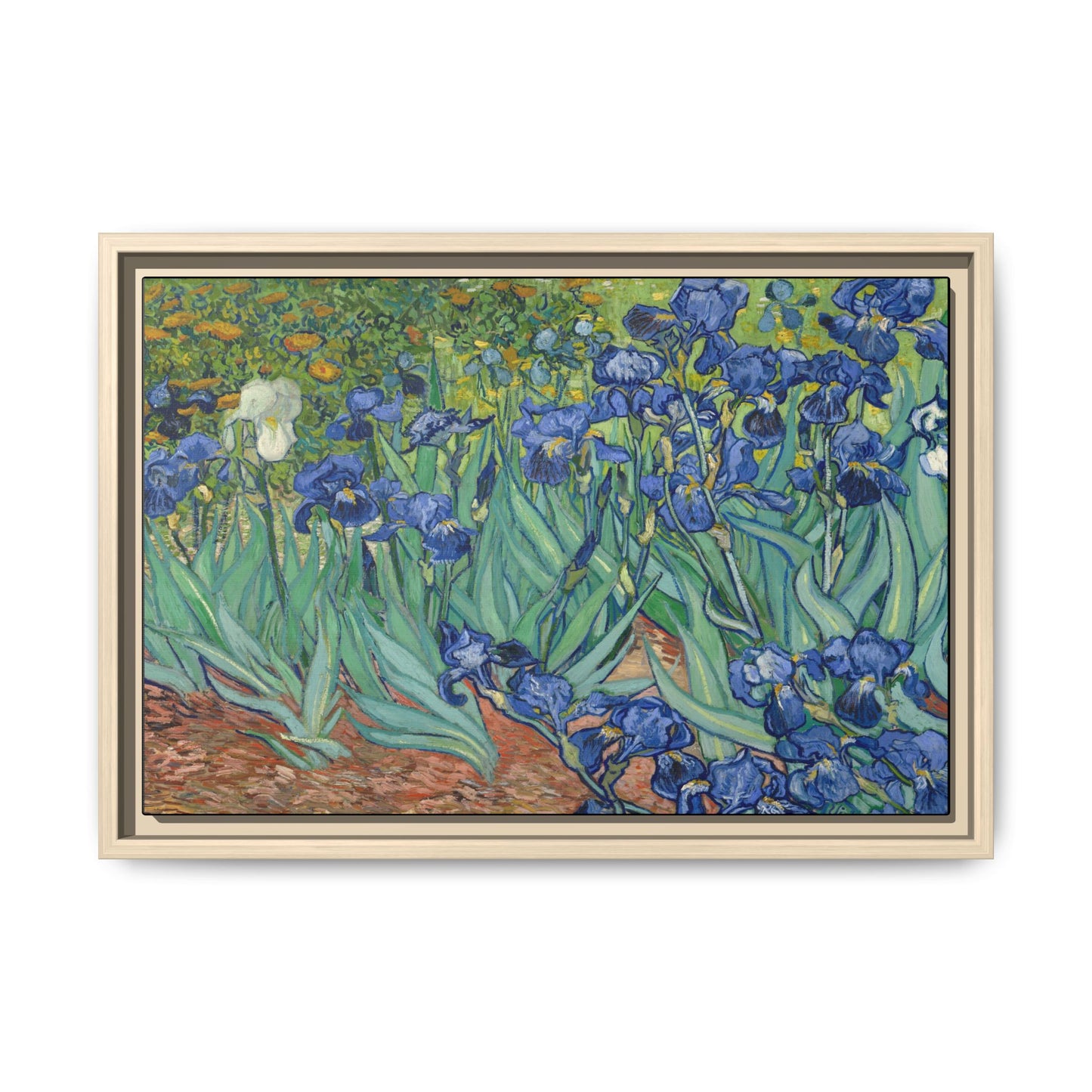 Van Gogh, Vincent - Irises (1889) - Matte Canvas, Framed