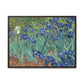 Van Gogh, Vincent - Irises (1889) - Matte Canvas, Framed