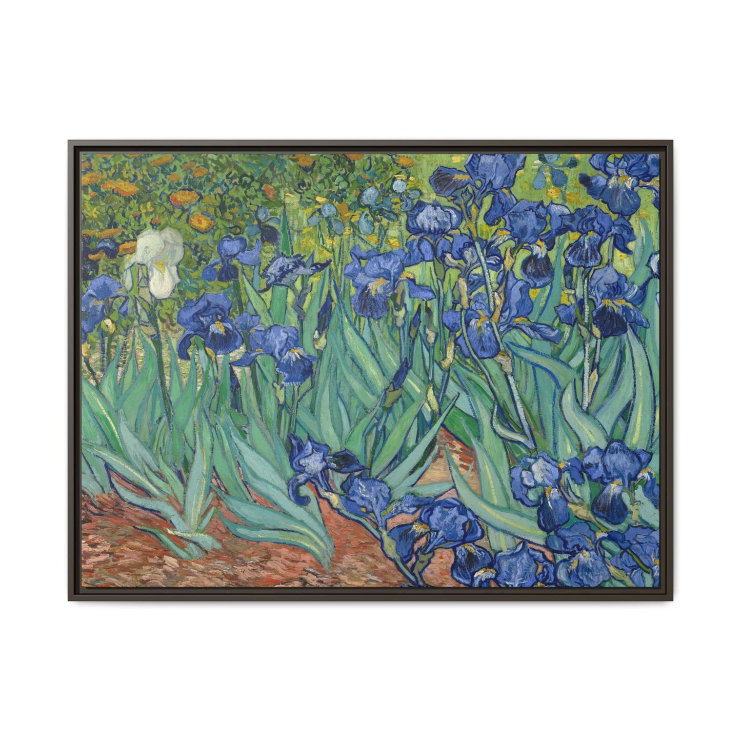 Van Gogh, Vincent - Irises (1889) - Matte Canvas, Framed