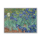 Van Gogh, Vincent - Irises (1889) - Matte Canvas, Framed