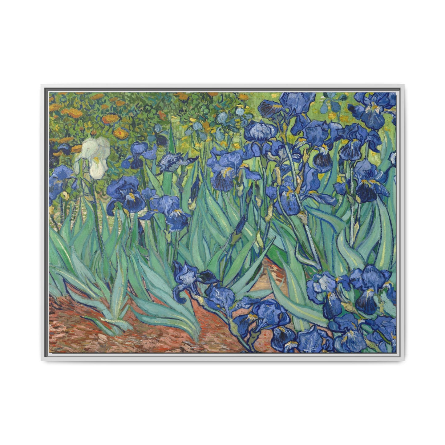 Van Gogh, Vincent - Irises (1889) - Matte Canvas, Framed