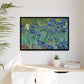 Van Gogh, Vincent - Irises (1889) - Matte Canvas, Framed