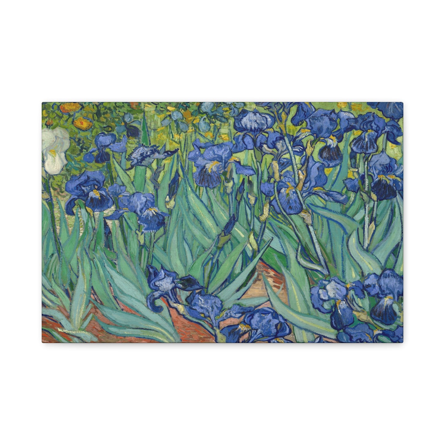 Van Gogh, Vincent - Irises (1889) - Canvas Block, unframed