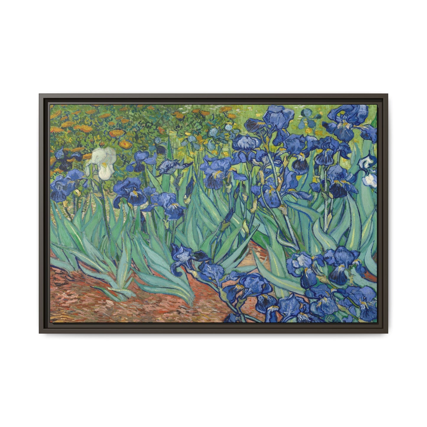 Van Gogh, Vincent - Irises (1889) - Matte Canvas, Framed