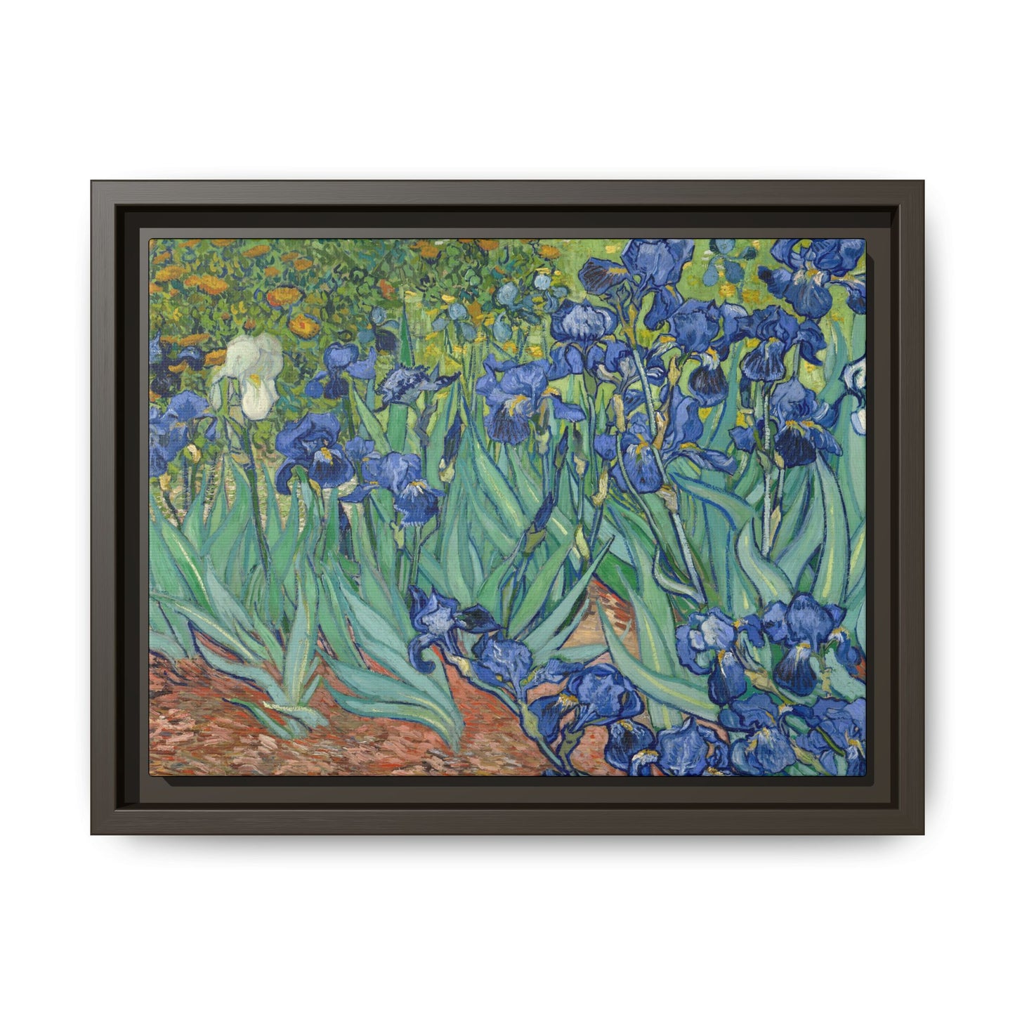 Van Gogh, Vincent - Irises (1889) - Matte Canvas, Framed