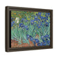 Van Gogh, Vincent - Irises (1889) - Matte Canvas, Framed