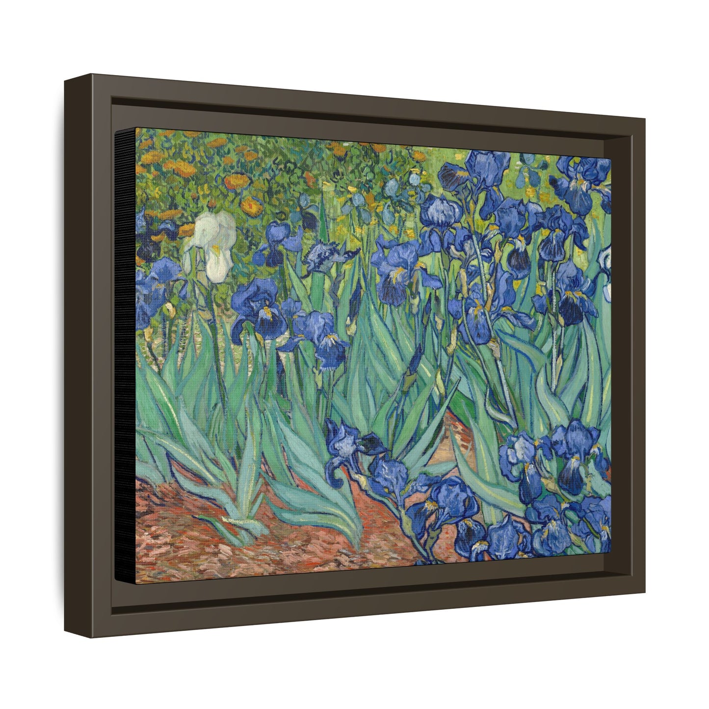 Van Gogh, Vincent - Irises (1889) - Matte Canvas, Framed