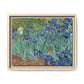 Van Gogh, Vincent - Irises (1889) - Matte Canvas, Framed