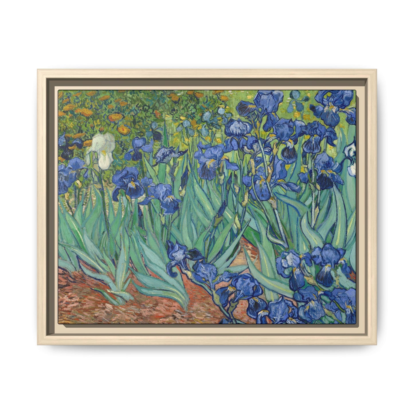 Van Gogh, Vincent - Irises (1889) - Matte Canvas, Framed