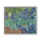 Van Gogh, Vincent - Irises (1889) - Matte Canvas, Framed