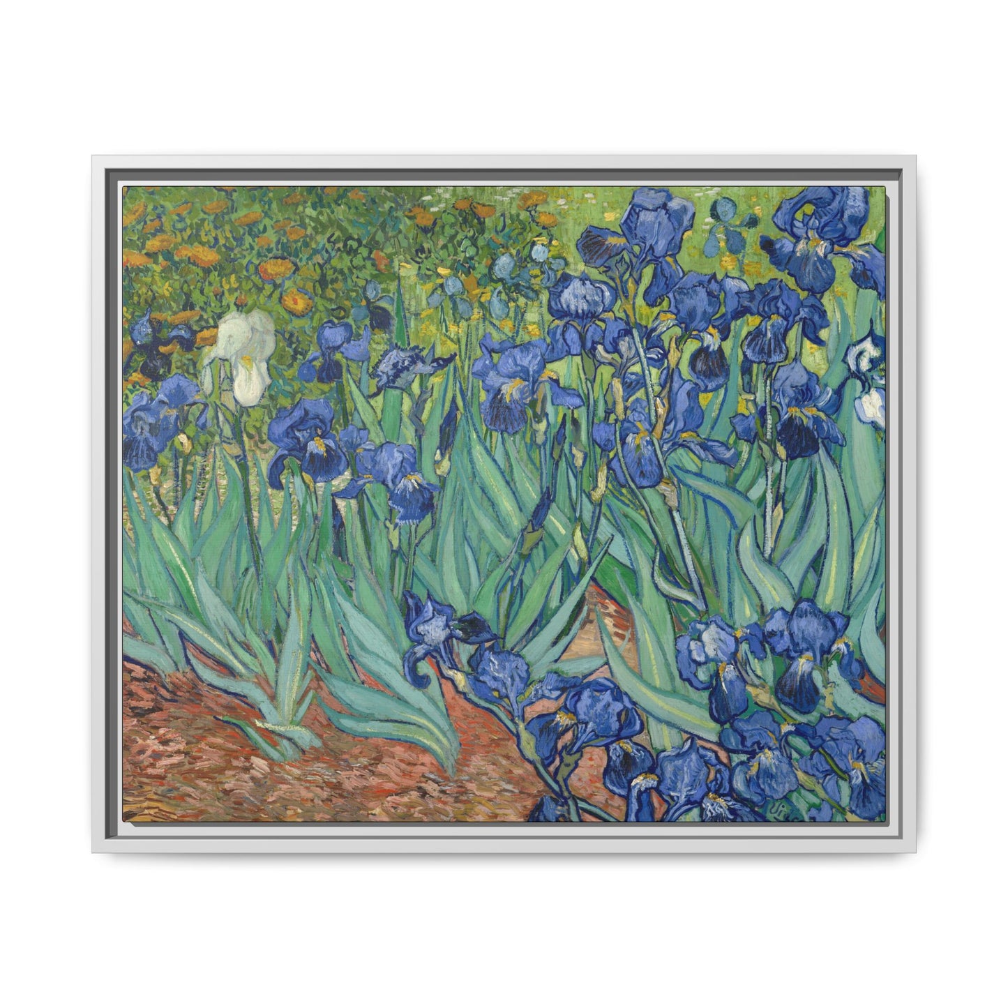 Van Gogh, Vincent - Irises (1889) - Matte Canvas, Framed