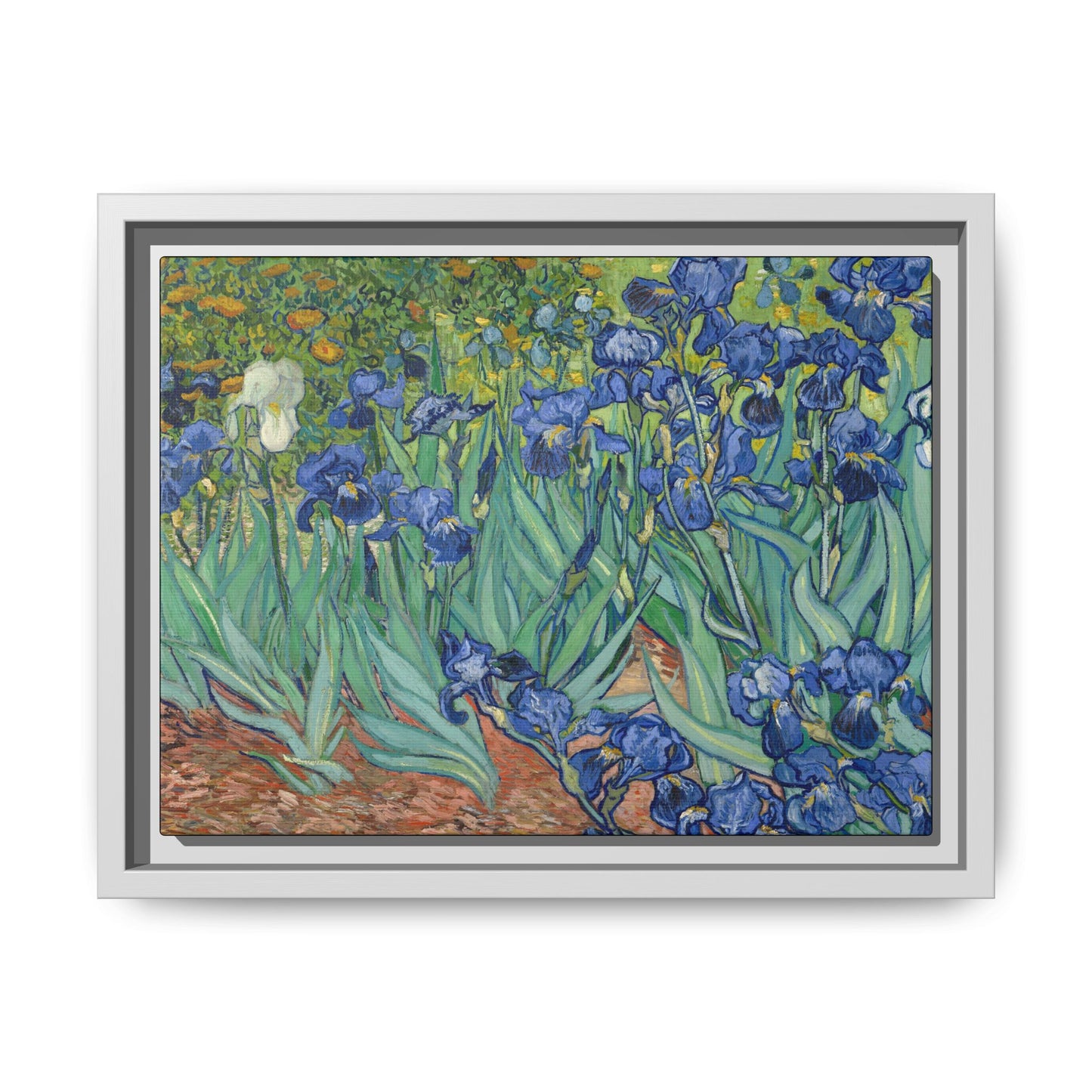 Van Gogh, Vincent - Irises (1889) - Matte Canvas, Framed
