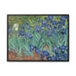 Van Gogh, Vincent - Irises (1889) - Matte Canvas, Framed