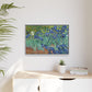 Van Gogh, Vincent - Irises (1889) - Matte Canvas, Framed