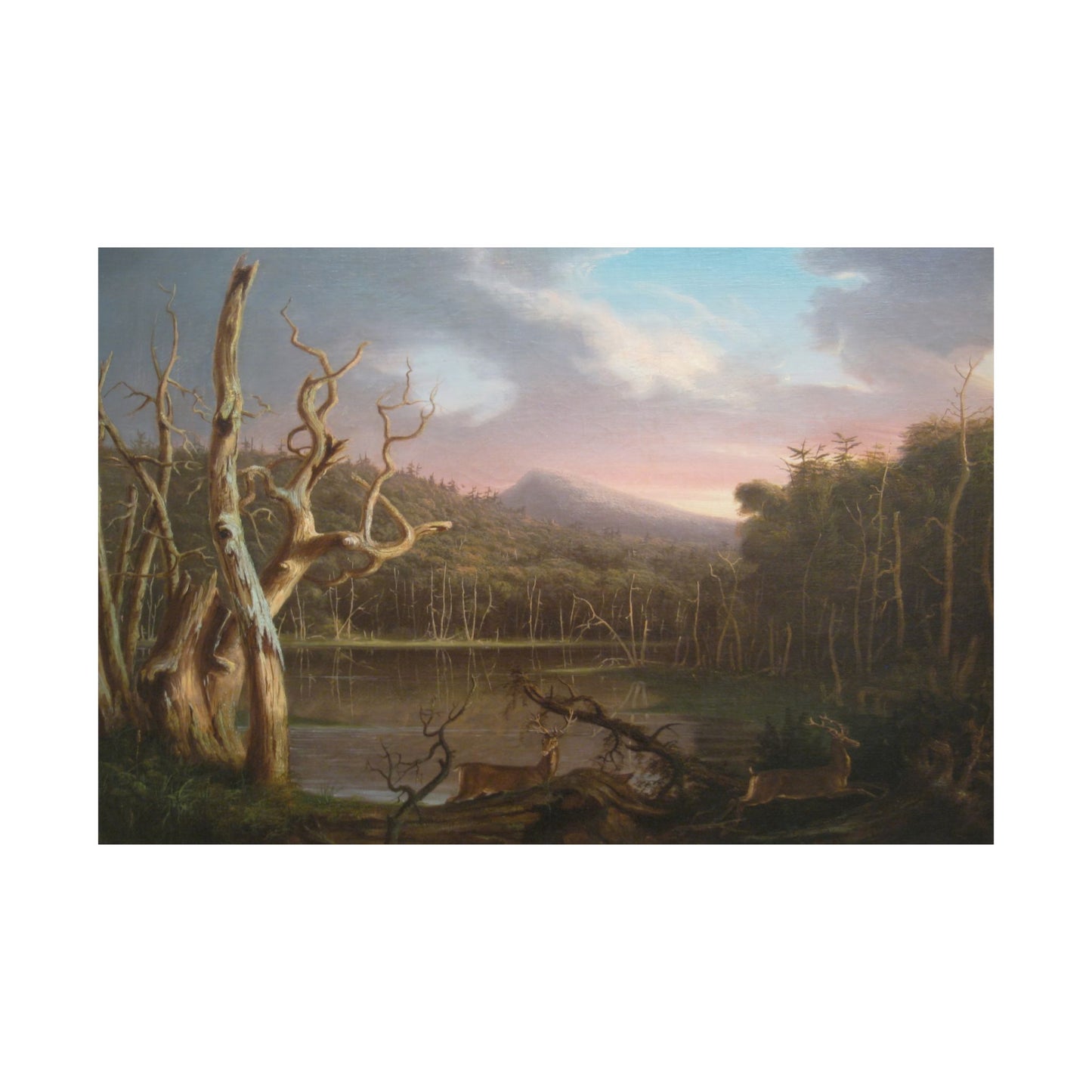Cole. Thomas - Lake with Dead Trees (1825) - Satin Posters