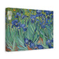 Van Gogh, Vincent - Irises (1889) - Canvas Block, unframed