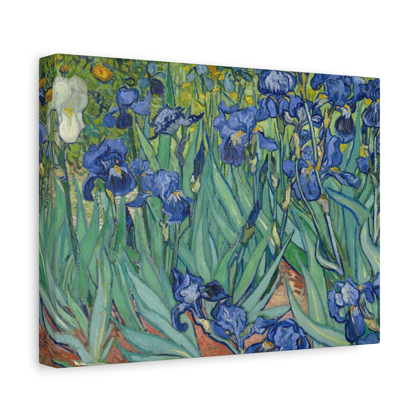 Van Gogh, Vincent - Irises (1889) - Canvas Block, unframed