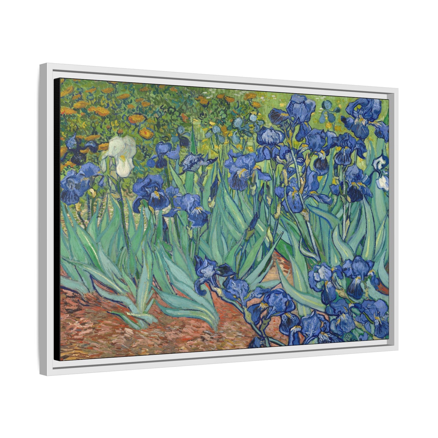 Van Gogh, Vincent - Irises (1889) - Matte Canvas, Framed