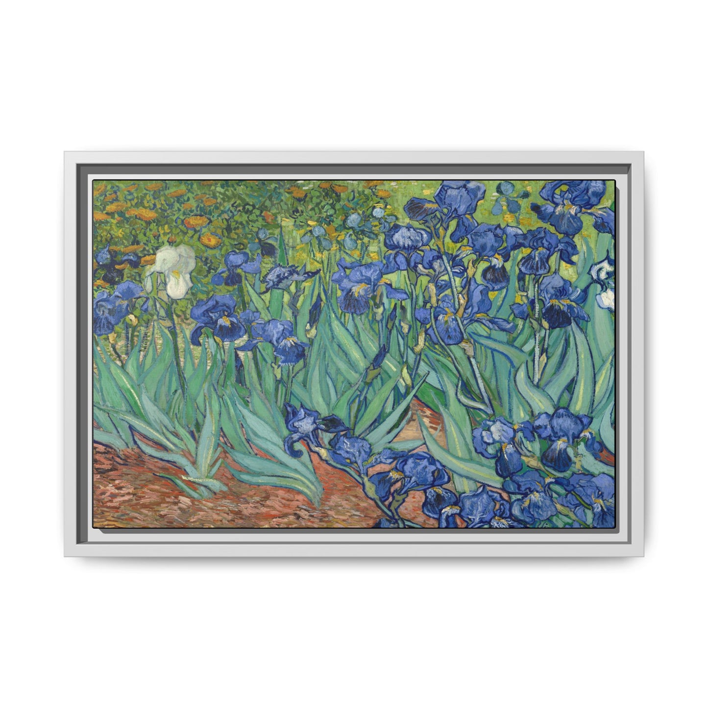 Van Gogh, Vincent - Irises (1889) - Matte Canvas, Framed