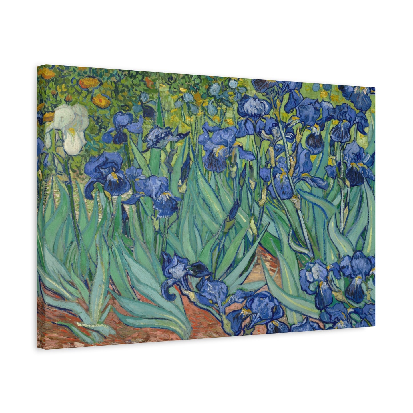 Van Gogh, Vincent - Irises (1889) - Canvas Block, unframed