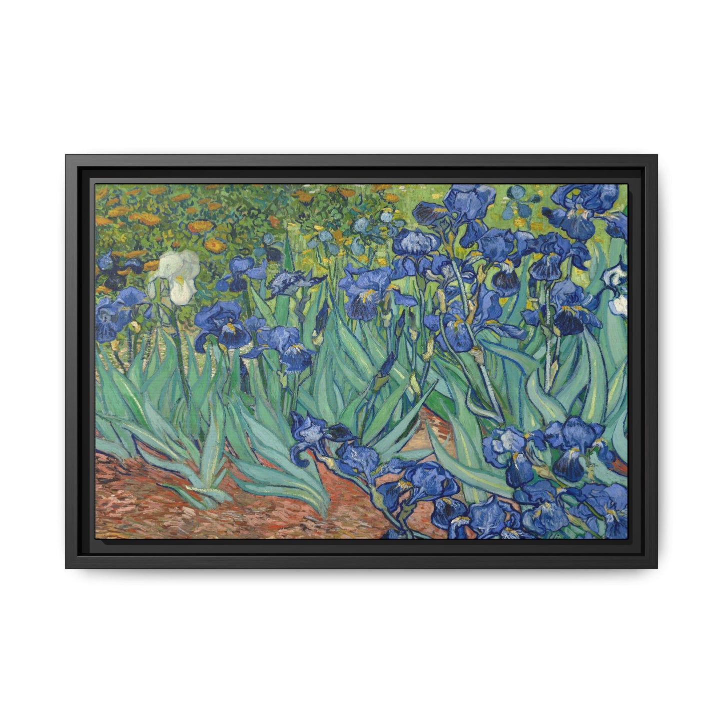 Van Gogh, Vincent - Irises (1889) - Matte Canvas, Framed