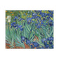 Van Gogh, Vincent - Irises (1889) - Canvas Block, unframed
