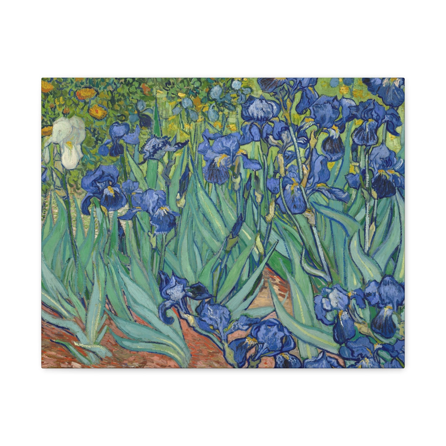 Van Gogh, Vincent - Irises (1889) - Canvas Block, unframed