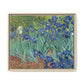 Van Gogh, Vincent - Irises (1889) - Matte Canvas, Framed