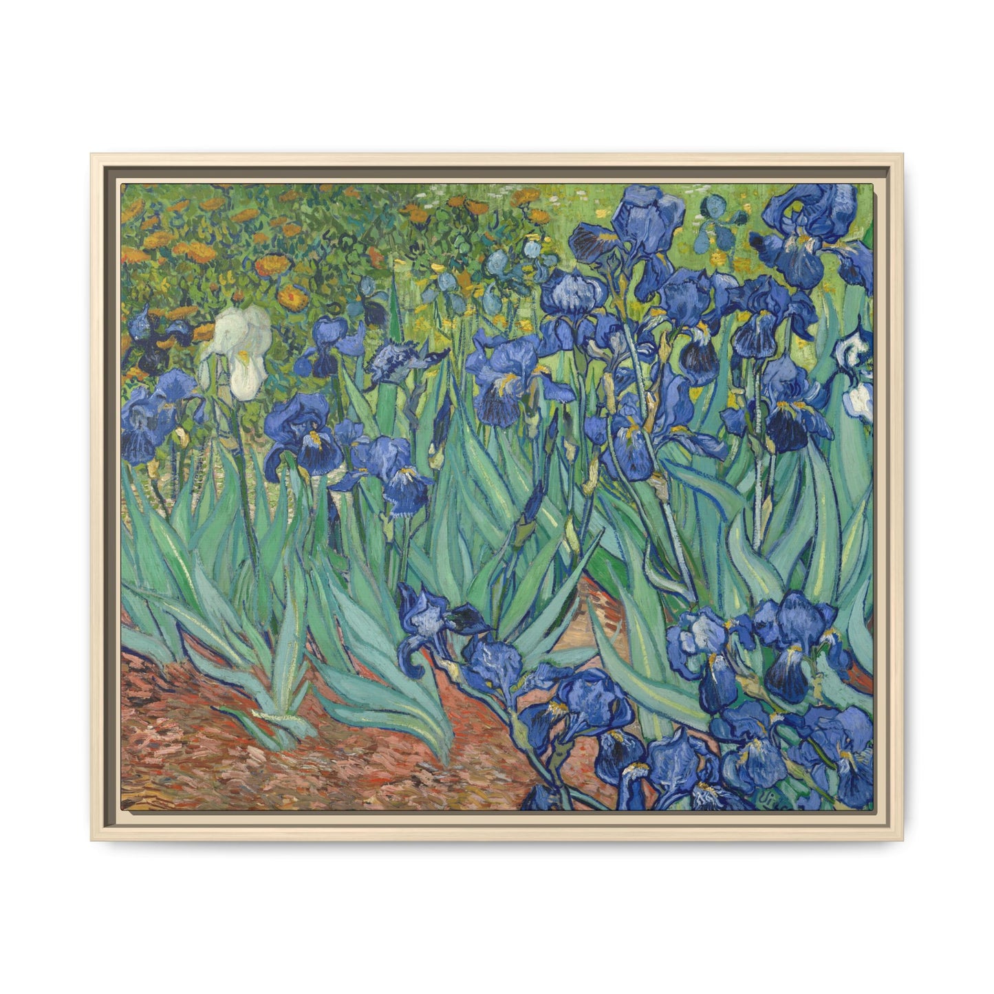 Van Gogh, Vincent - Irises (1889) - Matte Canvas, Framed