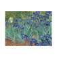 Van Gogh, Vincent - Irises (1889) - Canvas Block, unframed