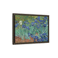 Van Gogh, Vincent - Irises (1889) - Matte Canvas, Framed