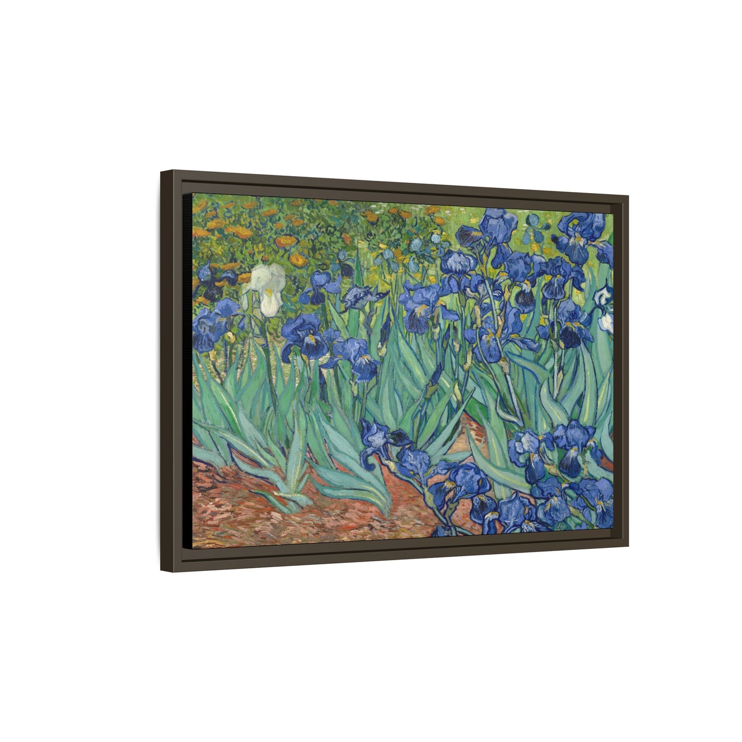 Van Gogh, Vincent - Irises (1889) - Matte Canvas, Framed