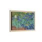 Van Gogh, Vincent - Irises (1889) - Matte Canvas, Framed