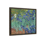 Van Gogh, Vincent - Irises (1889) - Matte Canvas, Framed