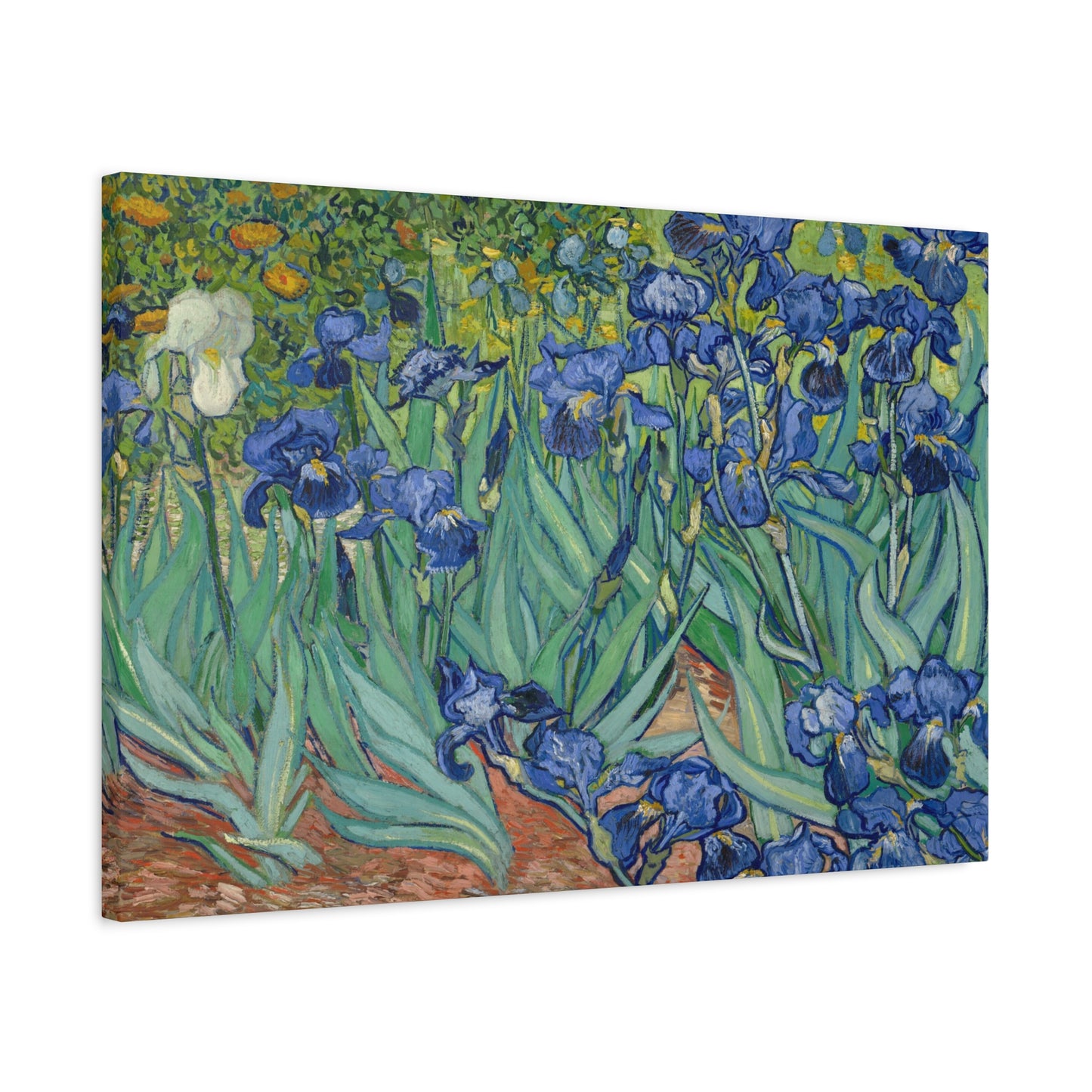 Van Gogh, Vincent - Irises (1889) - Canvas Block, unframed