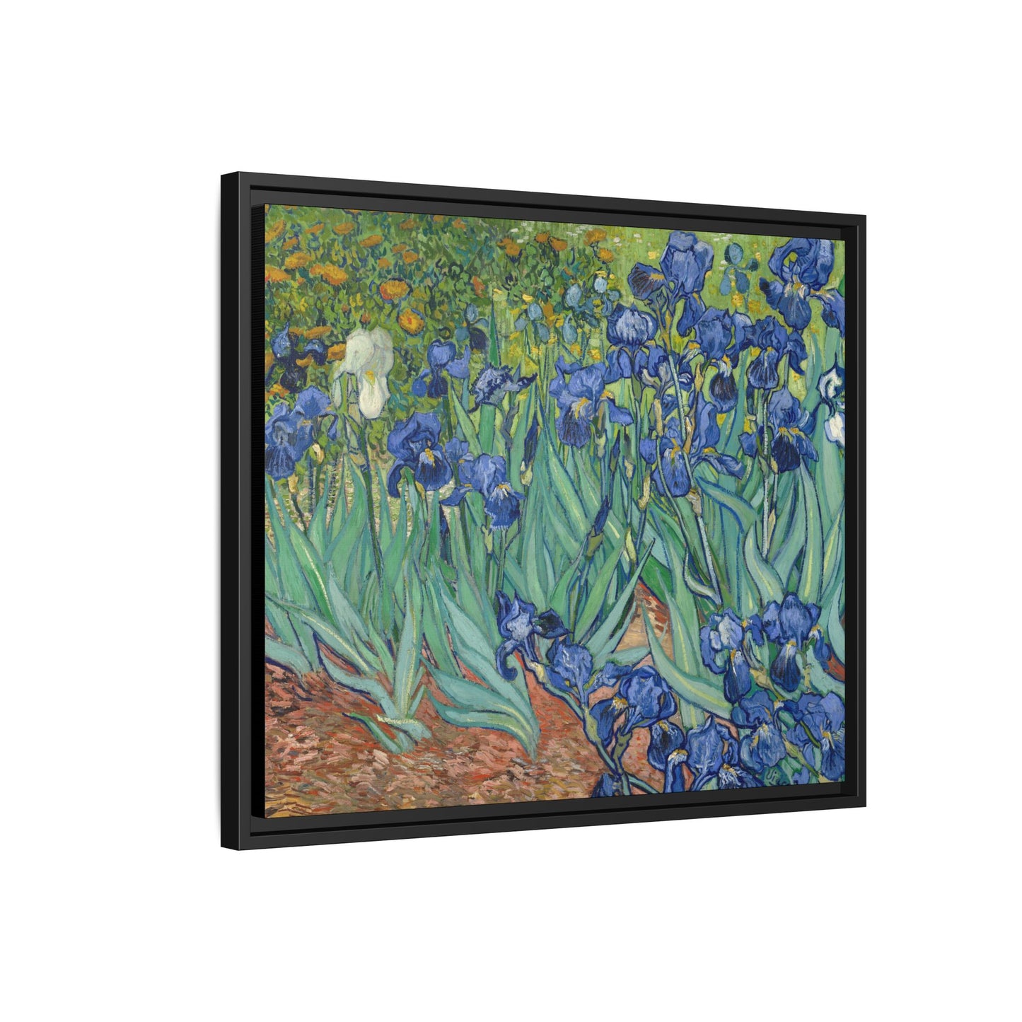 Van Gogh, Vincent - Irises (1889) - Matte Canvas, Framed