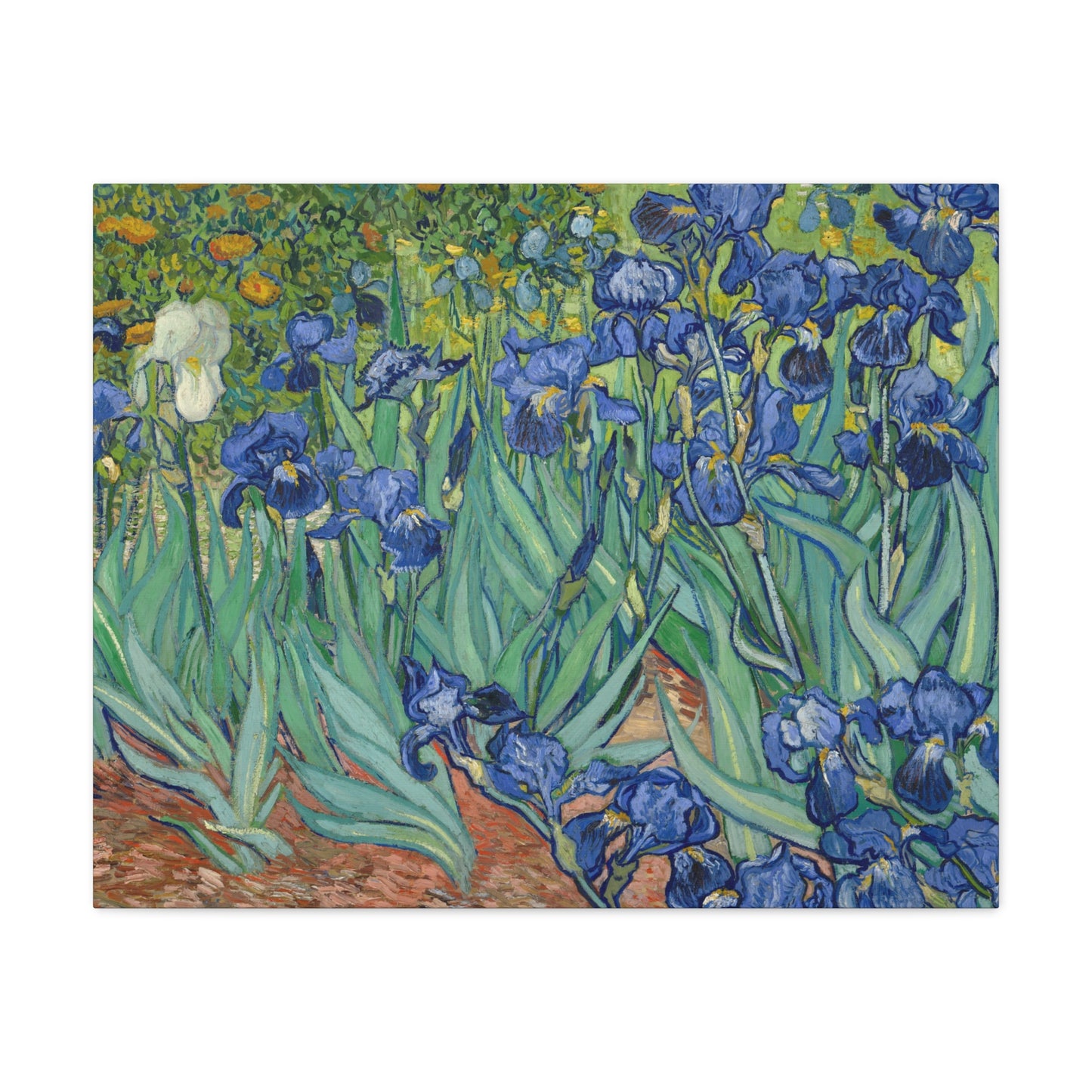 Van Gogh, Vincent - Irises (1889) - Canvas Block, unframed
