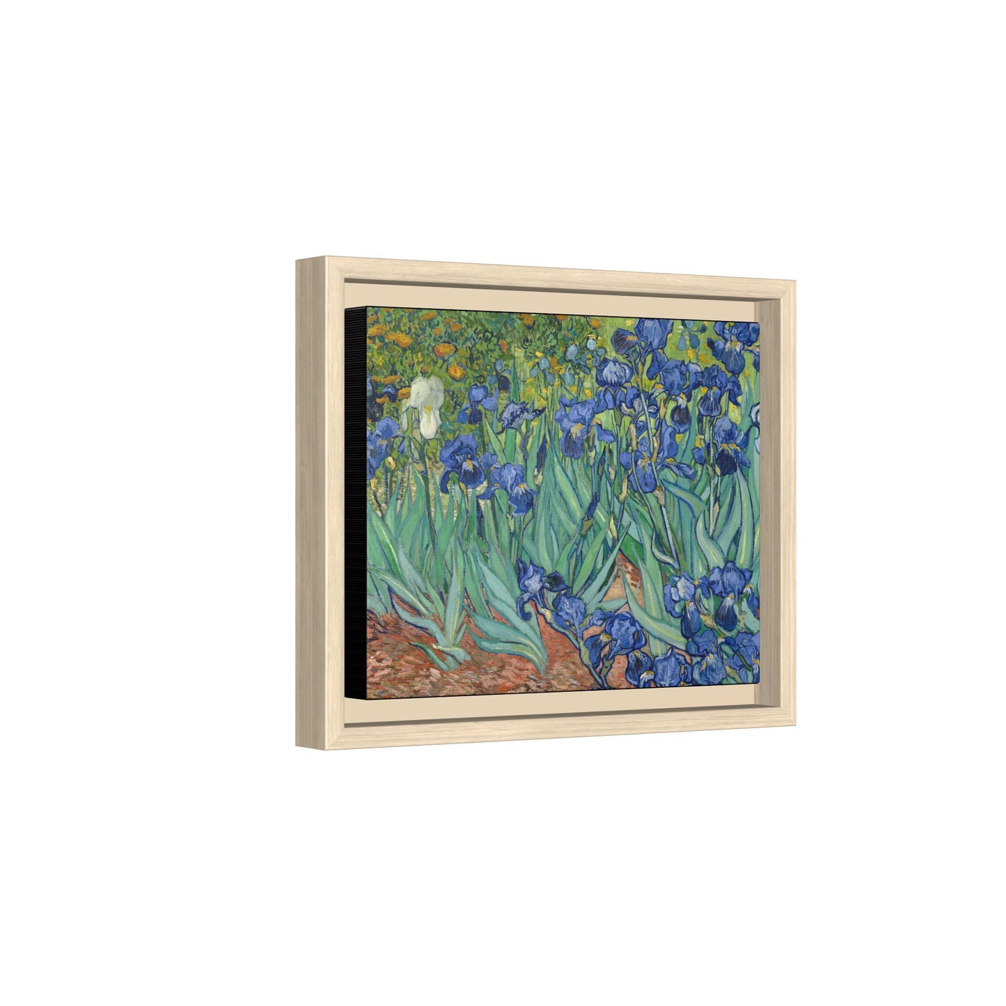 Van Gogh, Vincent - Irises (1889) - Matte Canvas, Framed