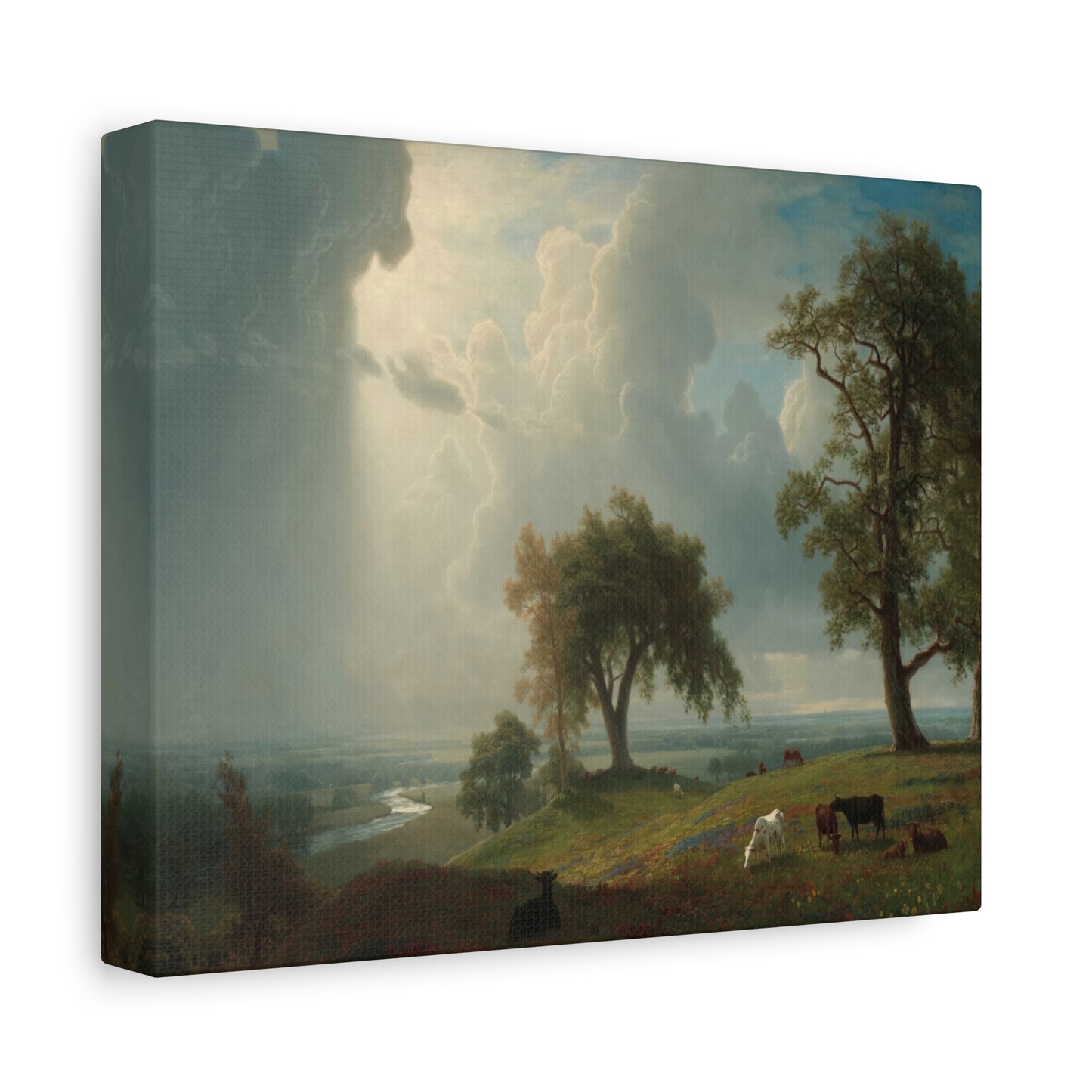 Bierstadt, Albert - California Spring (1875) - Canvas Block, unframed