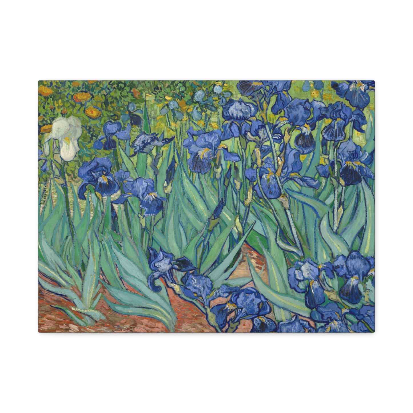 Van Gogh, Vincent - Irises (1889) - Canvas Block, unframed