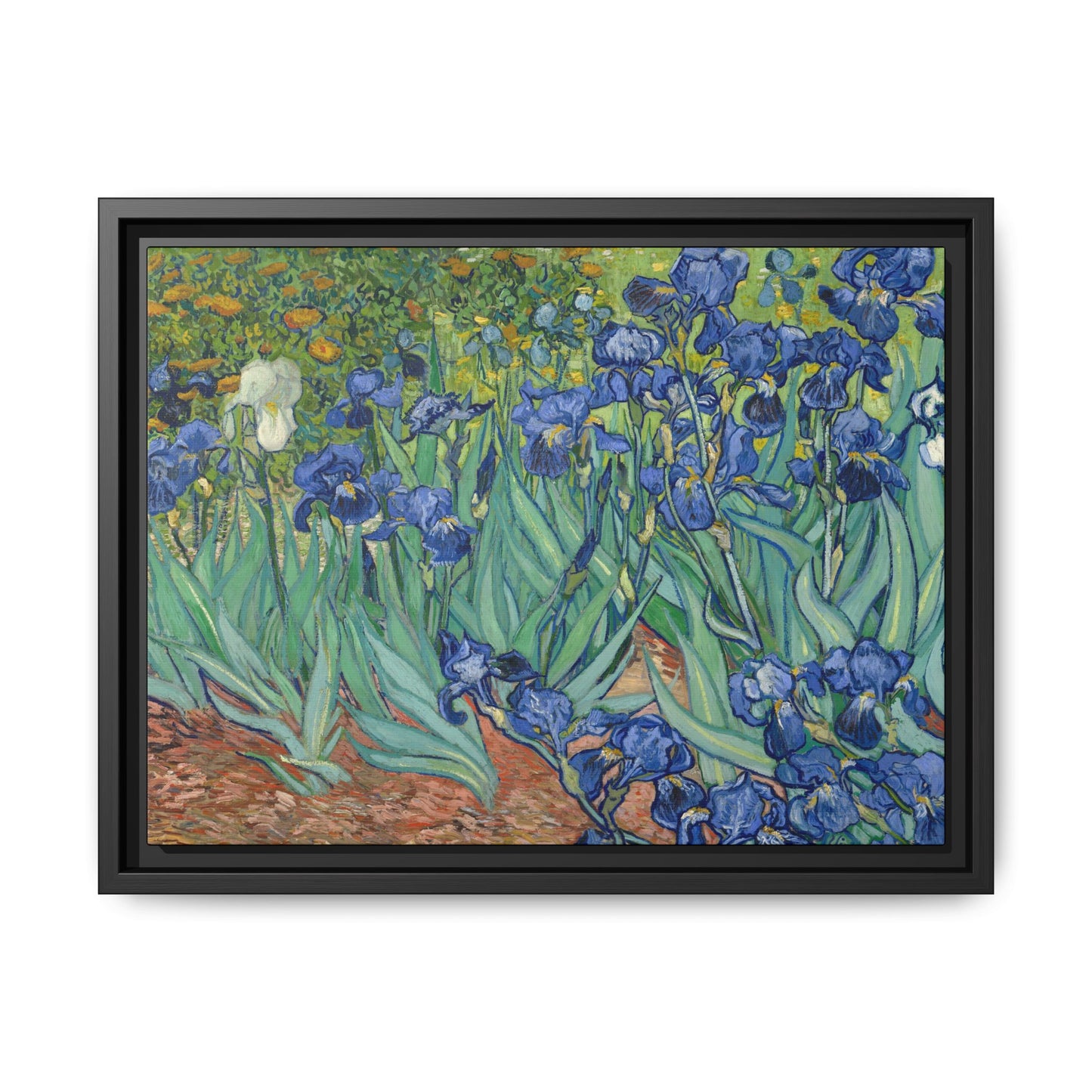 Van Gogh, Vincent - Irises (1889) - Matte Canvas, Framed