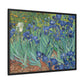 Van Gogh, Vincent - Irises (1889) - Matte Canvas, Framed