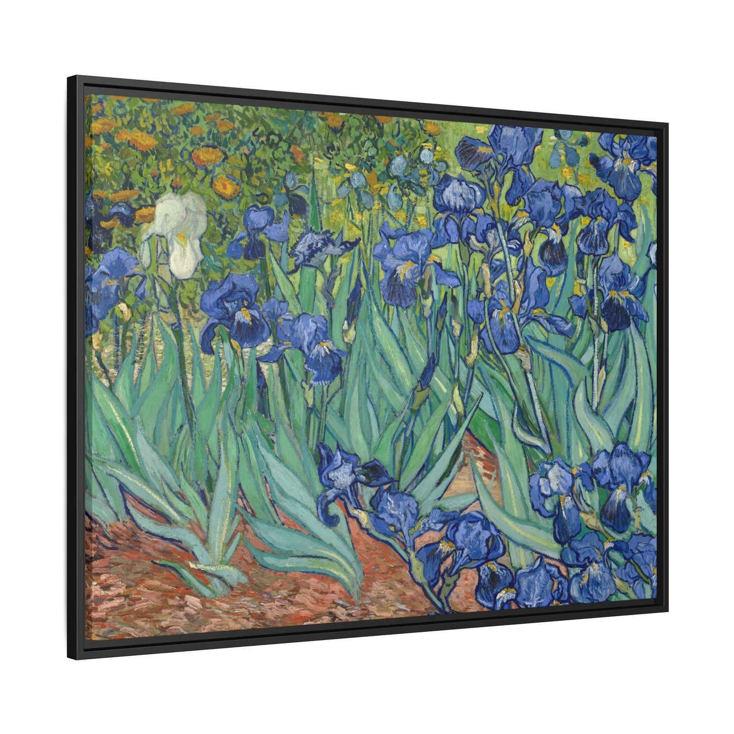 Van Gogh, Vincent - Irises (1889) - Matte Canvas, Framed