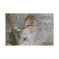 Morisot, Berthe - Woman at Her Toilette (1880) - Canvas Block, unframed