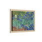 Van Gogh, Vincent - Irises (1889) - Matte Canvas, Framed