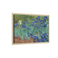 Van Gogh, Vincent - Irises (1889) - Matte Canvas, Framed