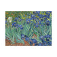 Van Gogh, Vincent - Irises (1889) - Canvas Block, unframed